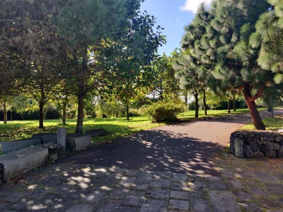 New City Park Apartment In Ponta Delgada 外观 照片