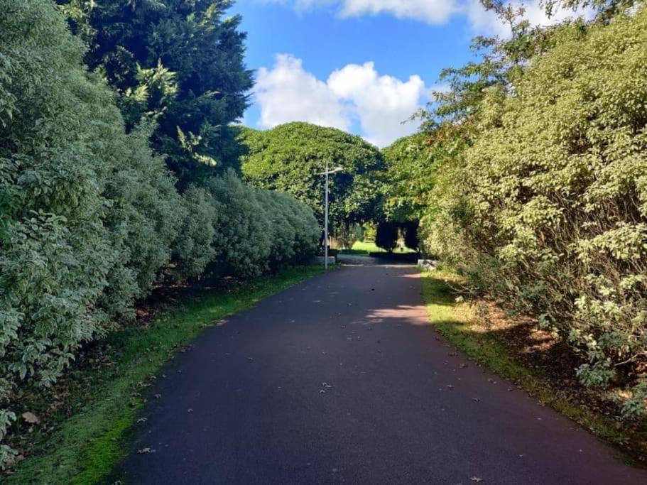 New City Park Apartment In Ponta Delgada 外观 照片